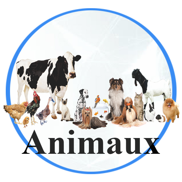 Animaux